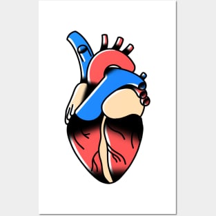 Human Heart Posters and Art